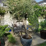 Bed & Breakfast In Monumental House Centre *