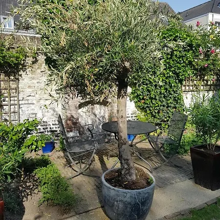 Bed & Breakfast In Monumental House Centre *