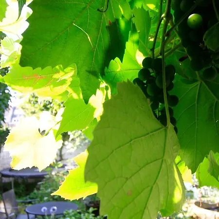 In Monumental House Centre Bed & Breakfast *