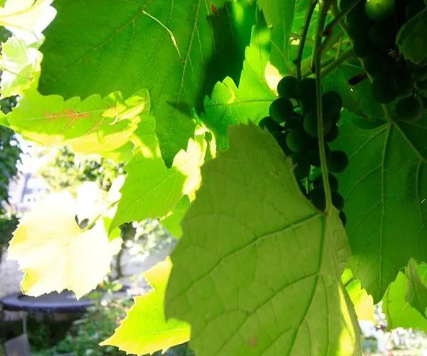 In Monumental House Centre Bed and breakfast *